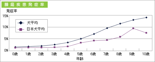 日本犬はガン発症率が低い