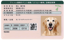診療記録簿イメージ