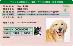 診療記録簿