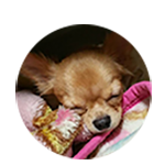 小川　ぺこちゃん