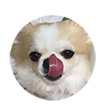 戎子　ももちゃん