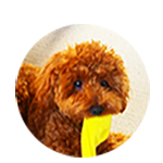 鐙　アースちゃん