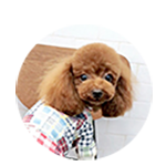 宮川　恋ちゃん