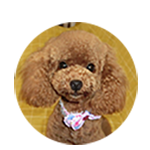 須原　メイちゃん