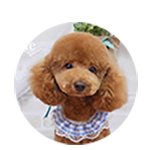 鈴木　鈴木キキちゃん