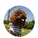 山田　ぺこちゃん