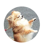 市川　レチェちゃん