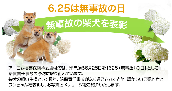 6月25日は無事故の日 無事故の柴犬を表彰