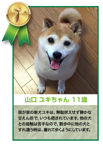 山口ユキちゃん 11歳