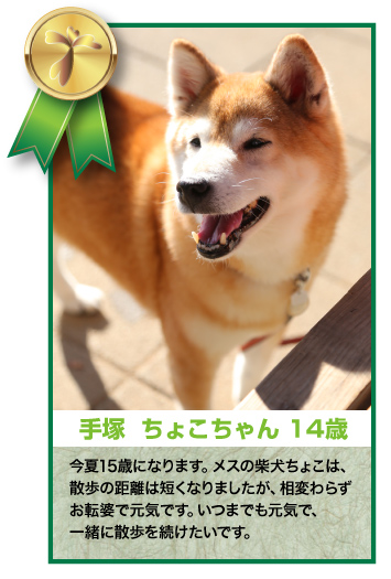 手塚ちょこちゃん 14歳