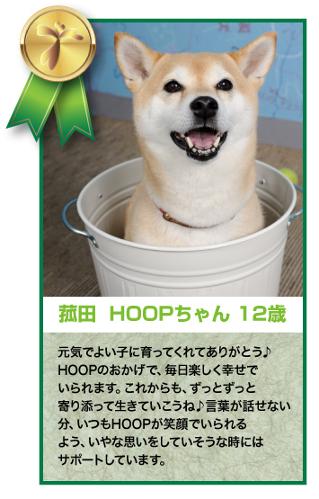菰田HOOPちゃん 12歳