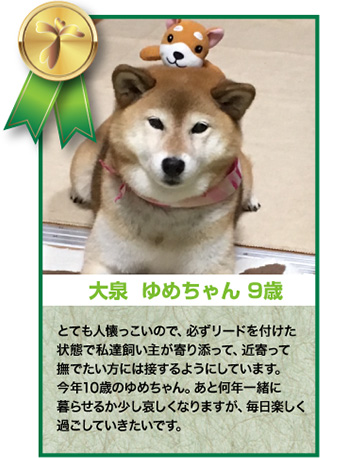 大泉ゆめちゃん 9歳