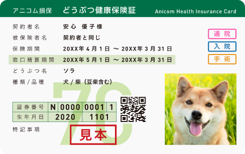 アニコム損保 どうぶつ健康保険証 見本