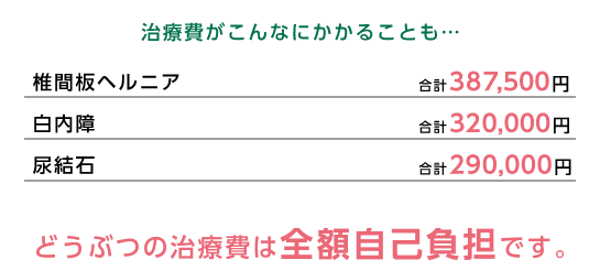 治療費がこんなにかかることも…