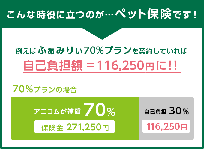 例えば椎間板ヘルニアの場合