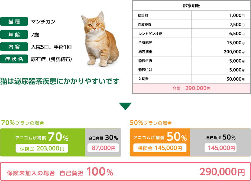 保険未加入の場合の自己負担額＆どうぶつ健保険ふぁみりぃの補償額