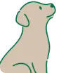 犬