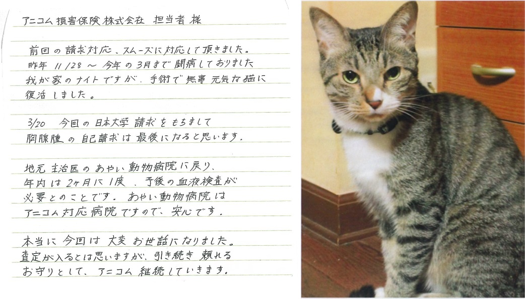 保険金のご請求をいただいたお客様より