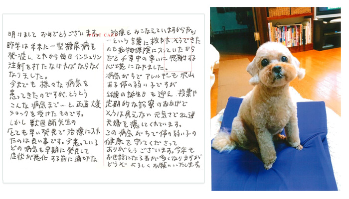 保険金のご請求をいただいたお客様より