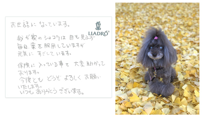 保険金のご請求をいただいたお客様より