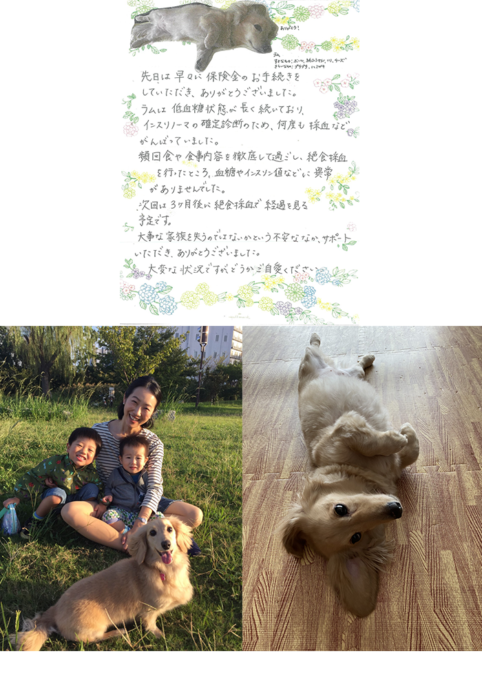 保険金のご請求をいただいたお客様より