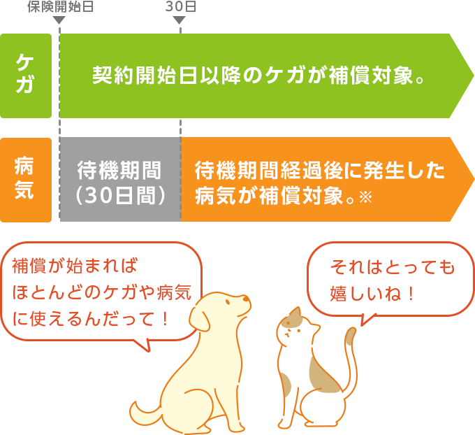 さまざまなケガ・病気を補償 イメージ