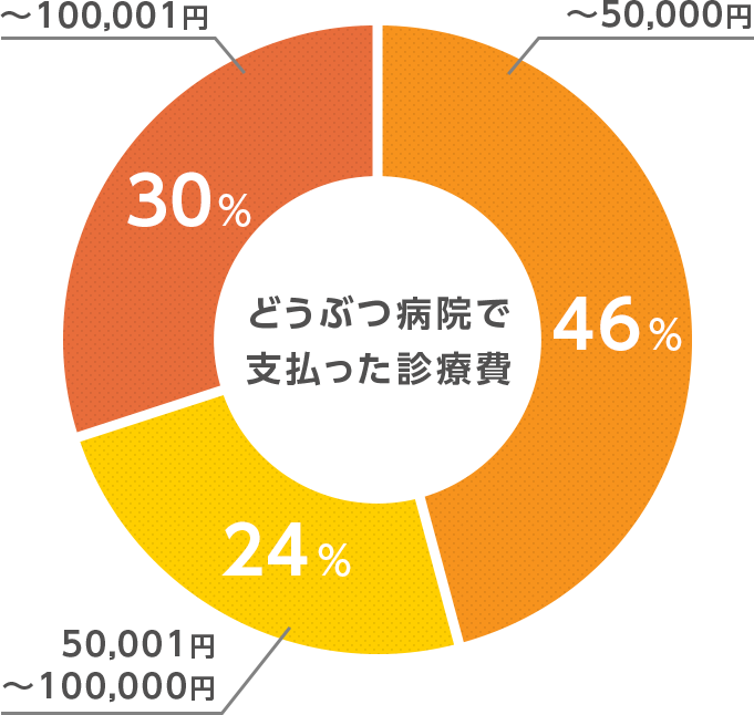 ６割以上がペット保険の使用経験あり！ イメージ