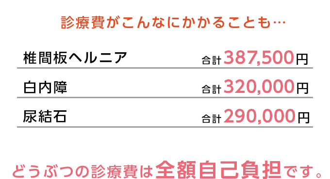 治療費がこんなにかかることも…
