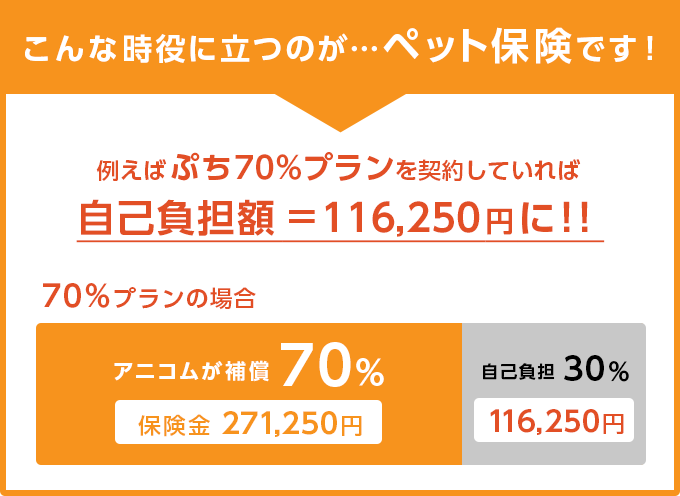 例えば椎間板ヘルニアの場合