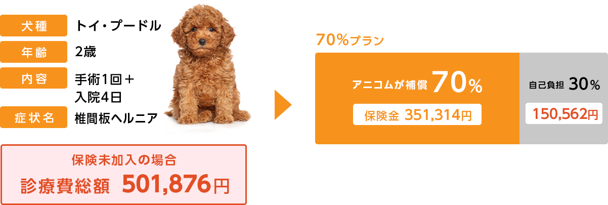 保険未加入の場合の自己負担額＆どうぶつ健保険ぷちの補償額