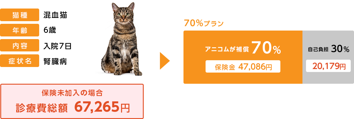 保険未加入の場合の自己負担額＆どうぶつ健保険ぷちの補償額