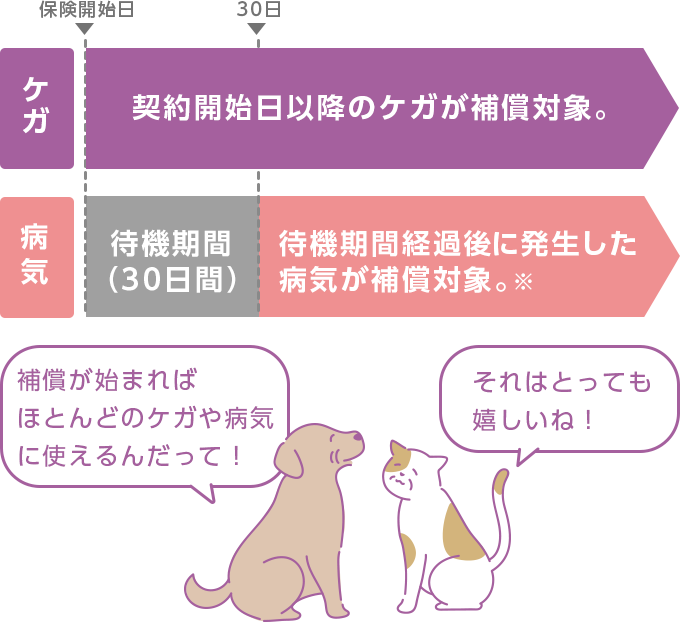 さまざまなケガ・病気を補償 イメージ