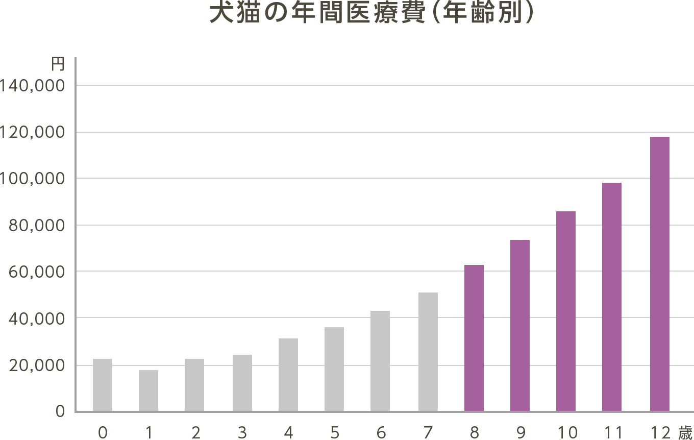 説明文
