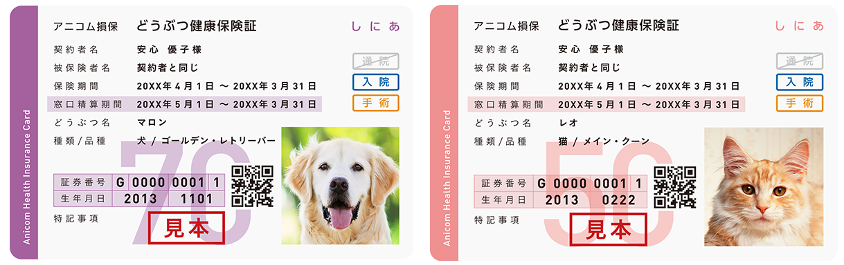 どうぶつ健保しにあのどうぶつ健康保険証イメージ