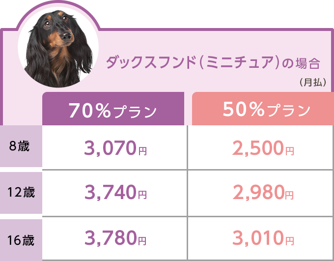 ダックスフンド（ミニチュア）の場合のどうぶつ健保しにあ保険料