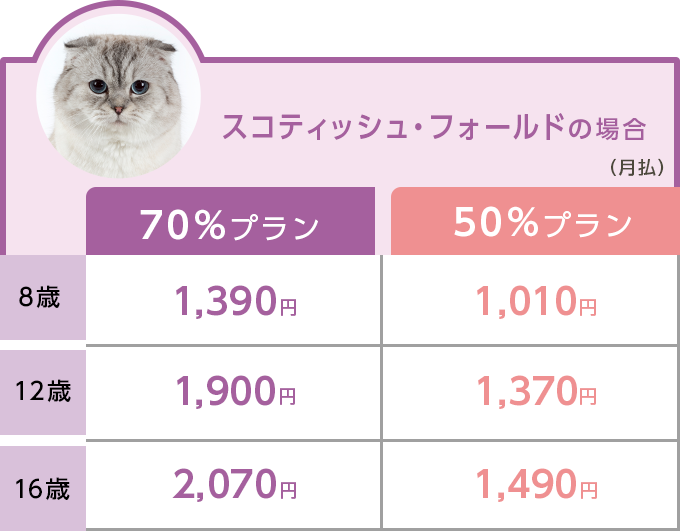 スコティッシュフォールドの場合のどうぶつ健保しにあ保険料