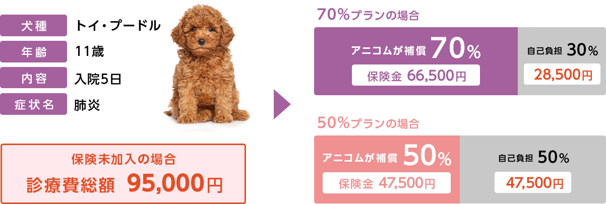 保険未加入の場合の自己負担額＆どうぶつ健保険しにあの補償額