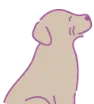 犬