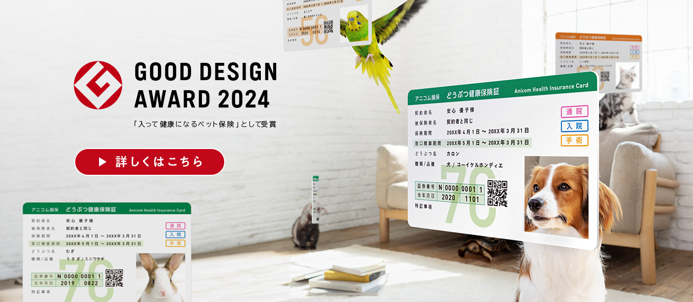 #GOOD DESIGN AWARD 2024