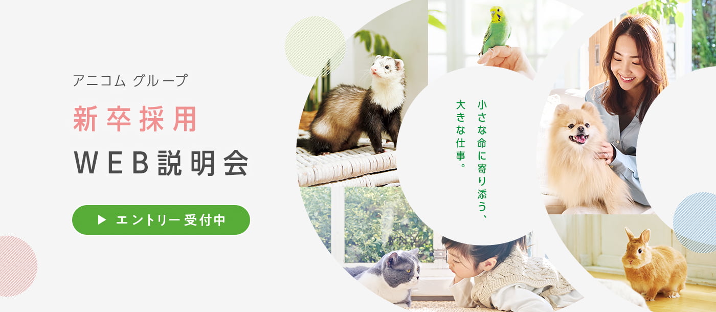 新卒採用WEB説明会