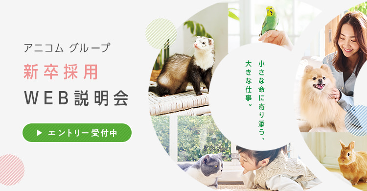 新卒採用WEB説明会