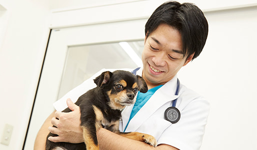 veterinary hospital 獣医師・愛玩動物看護師採用 イメージ