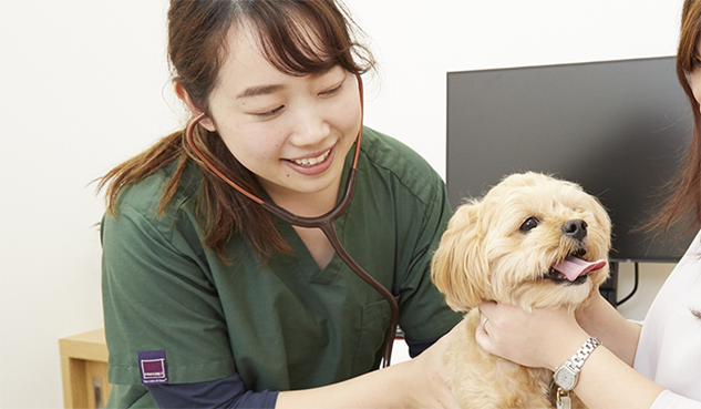 vets 獣医師紹介 イメージ