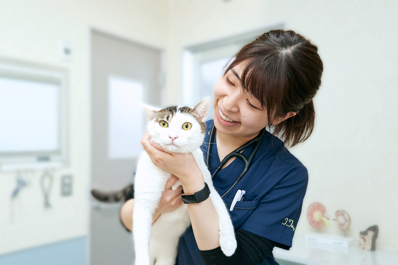 臨床獣医師として最前線で活躍 イメージ