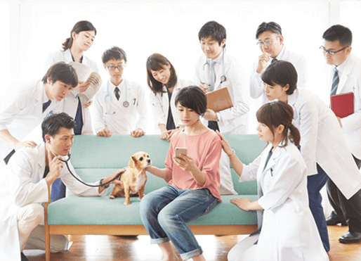 心に寄り添う獣医師であるために イメージ