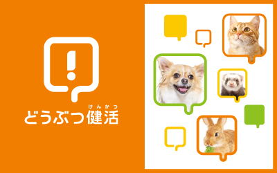 しつけ・健康相談サービス