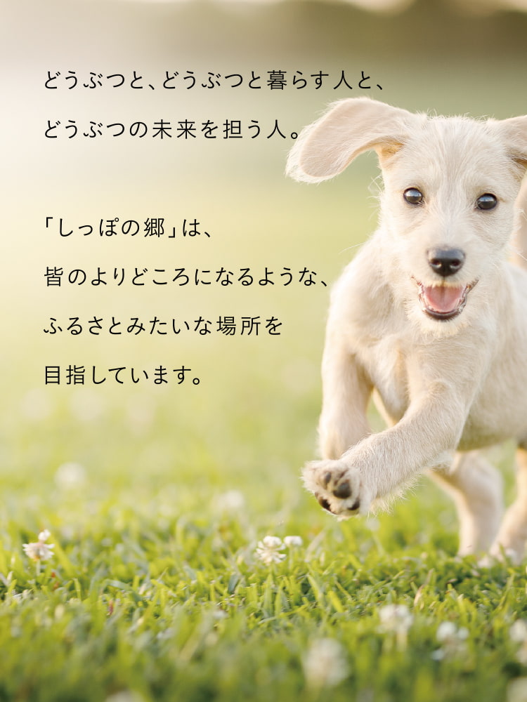 どうぶつと、どうぶつと暮らす人と、どうぶつの未来を担う人。「しっぽの郷」は、皆のよりどころになるような、ふるさとみたいな場所を目指しています。