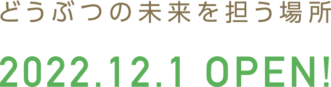 2022.12.1 OPEN!