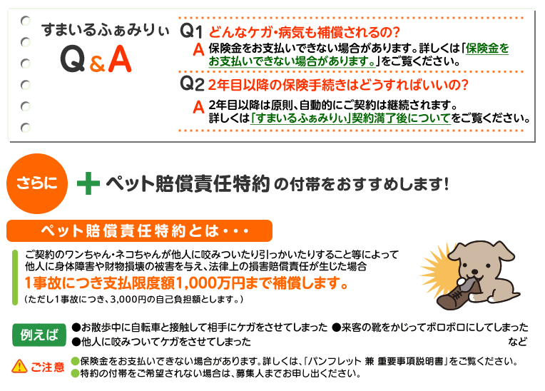 ペット賠償責任特約の付帯をおすすめします! どんなケガ・病気も補償されるの? 2年目以降の保険手続きはどうすればいいの?
