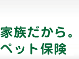 家族だからペット保険。